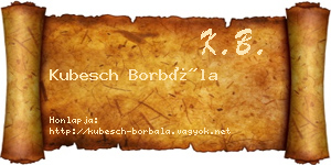 Kubesch Borbála névjegykártya